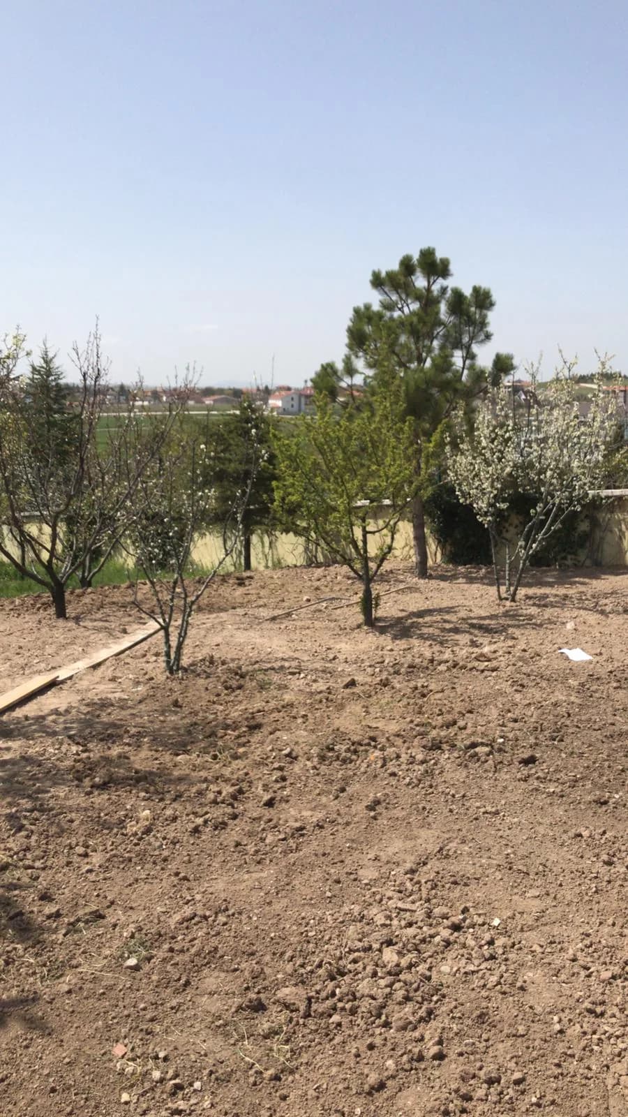 Fidan dikilen bahçeye serilmiş bahçe toprağı — Ankara